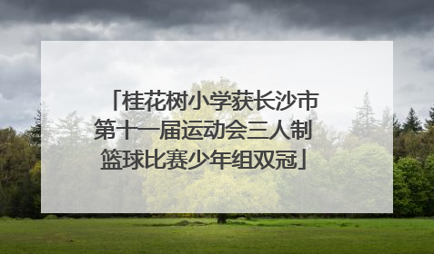 桂花树小学获长沙市第十一届运动会三人制篮球比赛少年组双冠