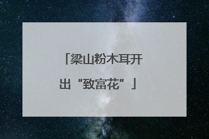 梁山粉木耳开出“致富花”