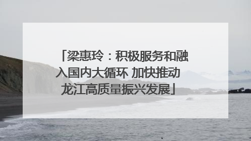 梁惠玲：积极服务和融入国内大循环 加快推动龙江高质量振兴发展