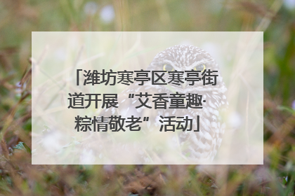 潍坊寒亭区寒亭街道开展“艾香童趣·粽情敬老”活动