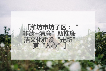 潍坊市坊子区：“非遗+清廉”助推廉洁文化建设“走新”更“入心”