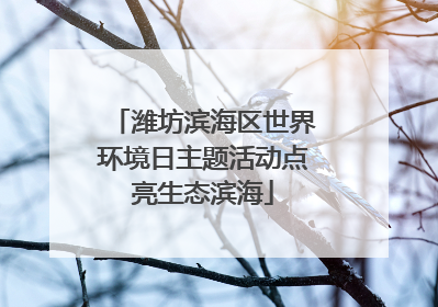 潍坊滨海区世界环境日主题活动点亮生态滨海