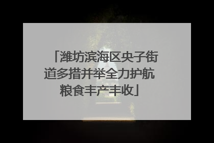 潍坊滨海区央子街道多措并举全力护航粮食丰产丰收