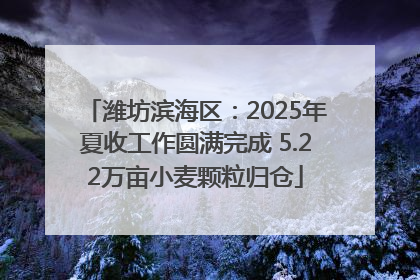 潍坊滨海区：2025年夏收工作圆满完成 5.22万亩小麦颗粒归仓