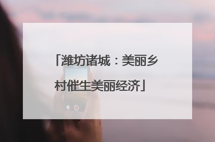 潍坊诸城：美丽乡村催生美丽经济
