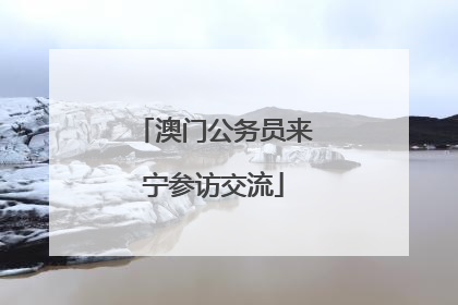 澳门公务员来宁参访交流