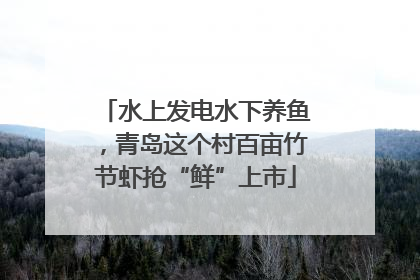 水上发电水下养鱼，青岛这个村百亩竹节虾抢“鲜”上市