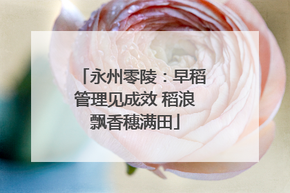永州零陵：早稻管理见成效 稻浪飘香穗满田