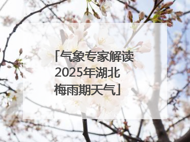 气象专家解读2025年湖北梅雨期天气