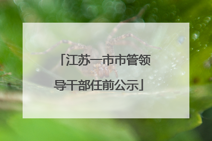 江苏一市市管领导干部任前公示