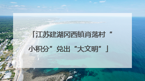 江苏建湖冈西镇肖荡村“小积分”兑出“大文明”