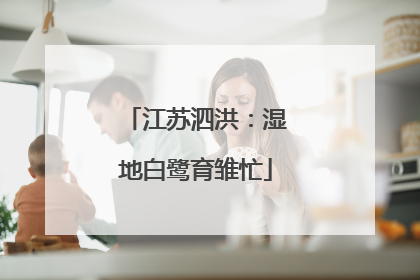 江苏泗洪：湿地白鹭育雏忙