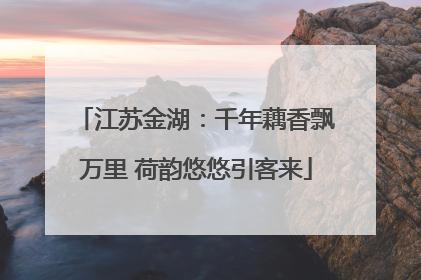 江苏金湖：千年藕香飘万里 荷韵悠悠引客来