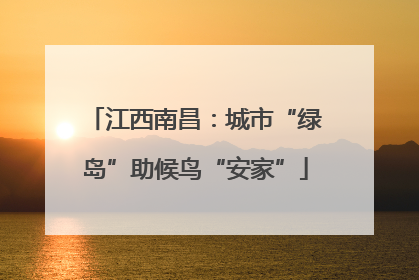 江西南昌：城市“绿岛”助候鸟“安家”