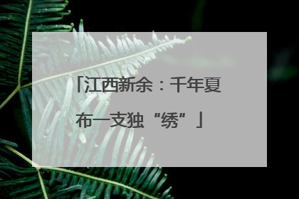 江西新余：千年夏布一支独“绣”