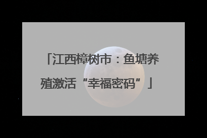江西樟树市：鱼塘养殖激活“幸福密码”