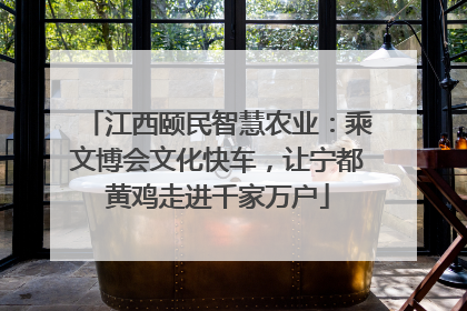 江西颐民智慧农业：乘文博会文化快车，让宁都黄鸡走进千家万户