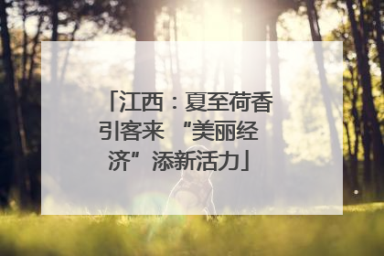 江西：夏至荷香引客来 “美丽经济”添新活力