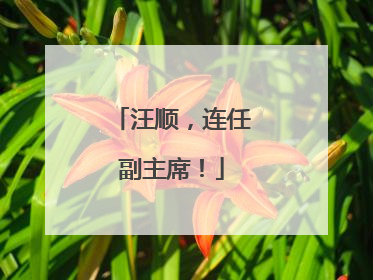 汪顺，连任副主席！