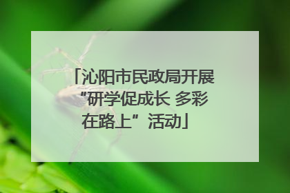 沁阳市民政局开展“研学促成长 多彩在路上”活动