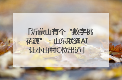 沂蒙山有个“数字桃花源”：山东联通AI让小山村C位出道