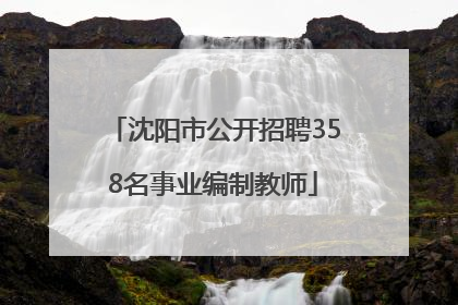 沈阳市公开招聘358名事业编制教师