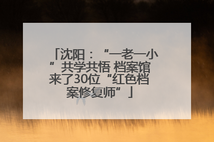 沈阳：“一老一小”共学共悟 档案馆来了30位“红色档案修复师”