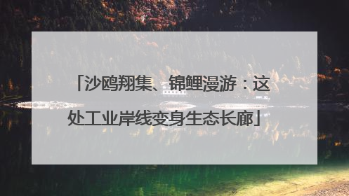 沙鸥翔集、锦鲤漫游：这处工业岸线变身生态长廊