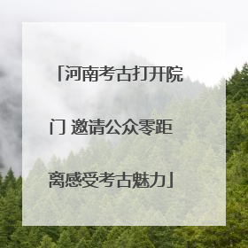 河南考古打开院门 邀请公众零距离感受考古魅力