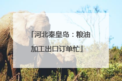河北秦皇岛：粮油加工出口订单忙