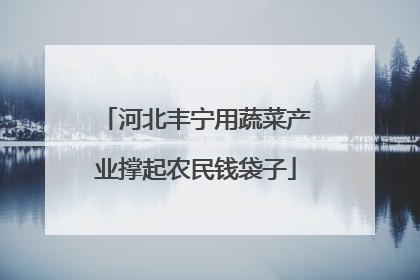 河北丰宁用蔬菜产业撑起农民钱袋子