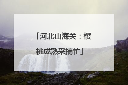 河北山海关：樱桃成熟采摘忙