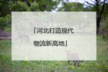 河北打造现代物流新高地