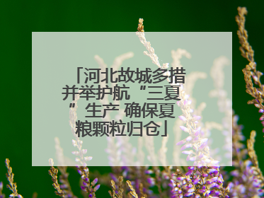 河北故城多措并举护航“三夏”生产 确保夏粮颗粒归仓