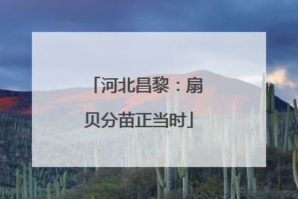 河北昌黎：扇贝分苗正当时