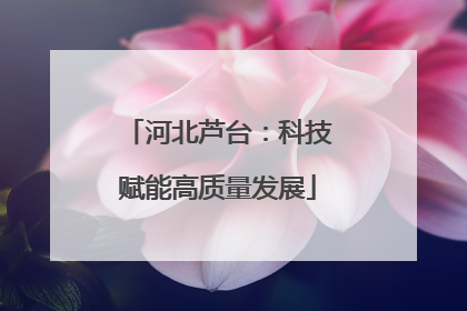 河北芦台：科技赋能高质量发展