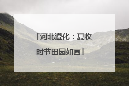 河北遵化：夏收时节田园如画