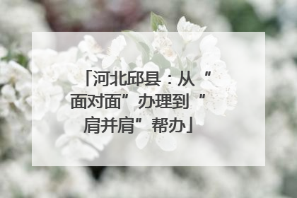 河北邱县：从“面对面”办理到“肩并肩”帮办