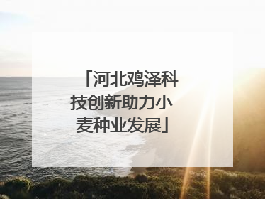 河北鸡泽科技创新助力小麦种业发展