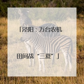 泾阳：万台农机田间战“三夏”