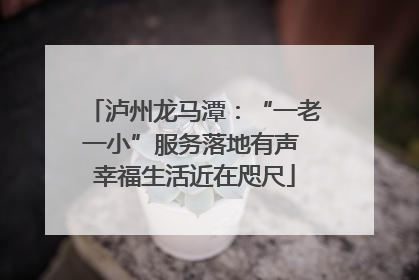 泸州龙马潭：“一老一小”服务落地有声 幸福生活近在咫尺
