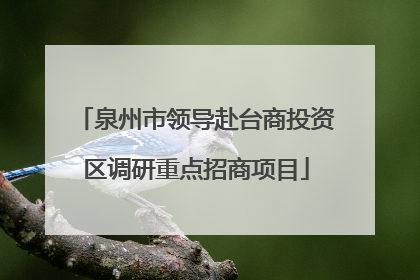 泉州市领导赴台商投资区调研重点招商项目