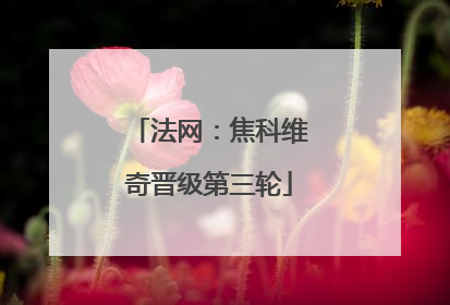 法网：焦科维奇晋级第三轮