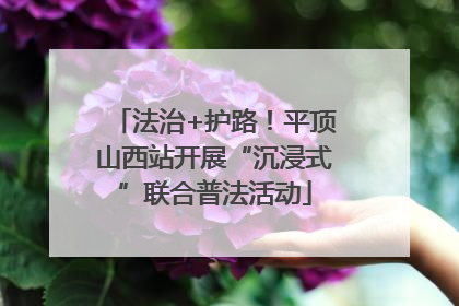 法治+护路！平顶山西站开展“沉浸式”联合普法活动