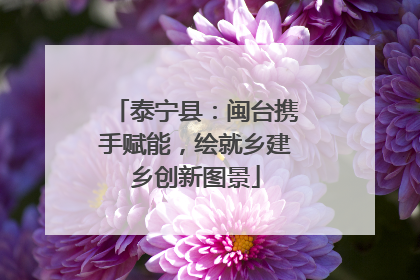 泰宁县：闽台携手赋能，绘就乡建乡创新图景