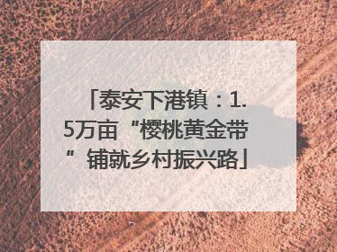 泰安下港镇：1.5万亩“樱桃黄金带”铺就乡村振兴路