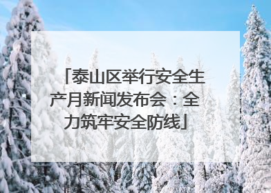 泰山区举行安全生产月新闻发布会：全力筑牢安全防线