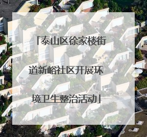 泰山区徐家楼街道新峪社区开展环境卫生整治活动