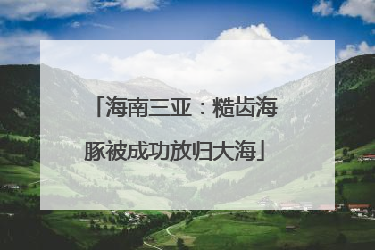 海南三亚：糙齿海豚被成功放归大海