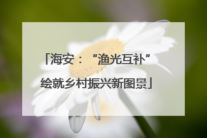 海安：“渔光互补” 绘就乡村振兴新图景